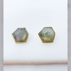 Grey/green semi precious stone with gold boarder. Post back